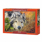 CastorLand ���� ������ ������ 500 ��������� Castor Land 3285/B-53285 � 10 ���
