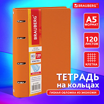 Brauberg ������� �� ������� �5 Joy 120 ������, ��� ����, ������ ���������/������-���������, 129992