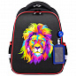 Brauberg  FIT 2  Colorful lion 270618