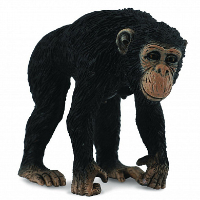 Collecta ������� �������� ����� M 88493b � 3 ���
