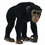 Collecta ������� �������� ����� M 88493b � 3 ���