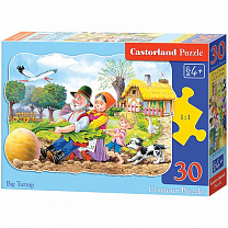 Castor Land ����� ����� 30 ������� MIDI (B4-03044) � 4 ���