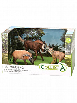 Collecta ����� ����� ��������-7 3 �� 89568 � 3 ���