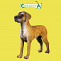 Collecta ������� ������� ��� L 10,3 �� 88062 � 3 ���