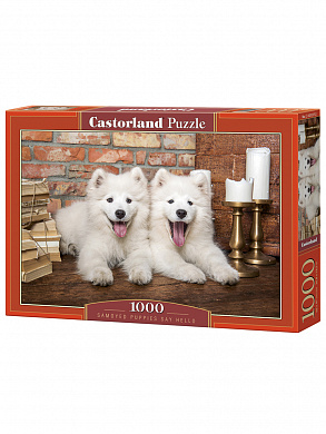 Castorland ����� ����� ����� 1000 ������� 5137/C-105137 � 10 ���