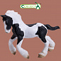 Collecta ������� ������ ��������� ��������� �������� ������ �����-����� M 88770b � 3 ���