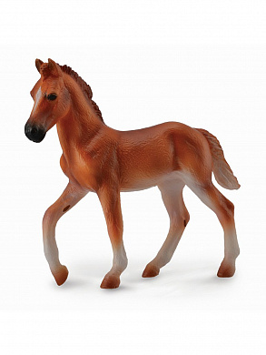 Collecta ������� ������ ��������� ���������� ���� ���������� M 88751b � 3 ���