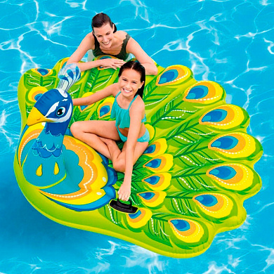 Intex ���� �������� ������ 57250EU � 3 ���