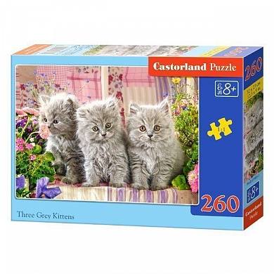 Castorland ����-midi ��� ����� ������� 260 ��������� 7491/B2-37491 � 8 ���