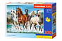 Castorland ���� ������ 200 ��������� 2056/B10-222056 � 7 ���