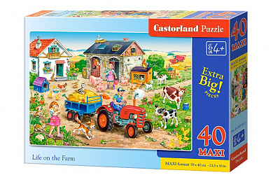 Castorland ����-maxi �� ����� 40 ��������� 0193/MX-040193 � 4 ���