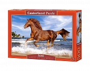 Castorland Пазлы Лошадь 500 деталей (B-51175) с 9 лет
