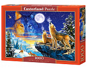 Castor Land ����� ����� 1000 ������� (�-103317) � 10 ���