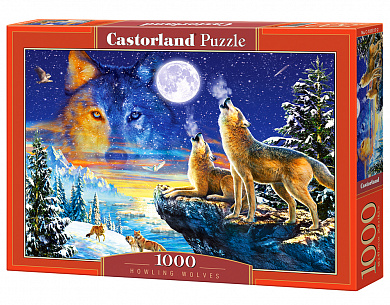 Castor Land ����� ����� 1000 ������� (�-103317) � 10 ���