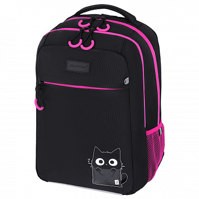 Brauberg ������ Main 2 ��������� 3 ������� Carton kitten 274398