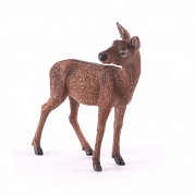 Collecta ������� ����� ����� � 7�� 88470 � 3 ���