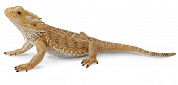 Collecta Bearded Dragon Lizard 88567b с 3 лет