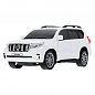 ��������� ������ �� �/� Toyota Prado 19 ��, ����, ����� �R�D�-19L-W� � 3 ���