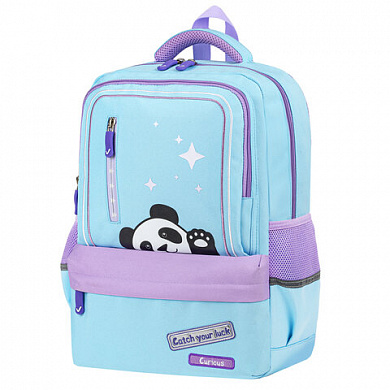 Brauberg ������ �������� Star, 1 ���������, 5 �������� Friendly panda 270667