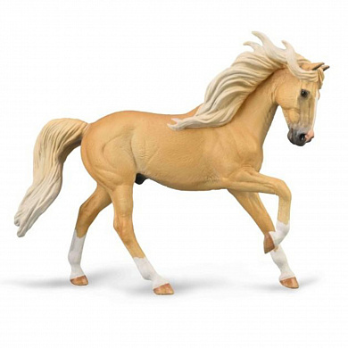 Collecta ������� ������ ����������� ������� - �������� XL 88984b � 3 ���