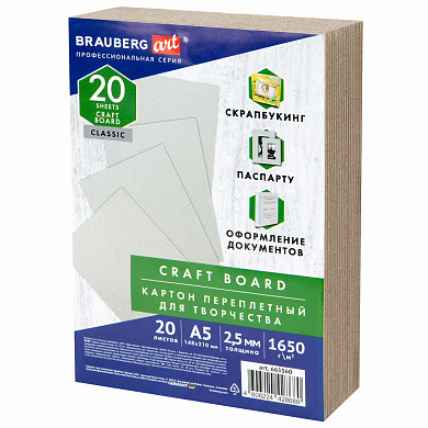 Brauberg ������ ����������� ������� 2,5 �� �5 148�210 �� �������� 20 �� Art 665560