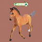 Collecta ������� ������ ��������� ������������ ������ M 88734b � 3 ���