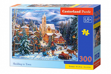 Castorland ���� ������� �� ����� 300 ��������� 0194/B7-030194 � 8 ���