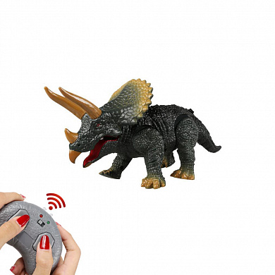  Triceratops  / ,  9988B  3 