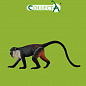 Collecta ������� �������� ����� � 88673b � 3 ���