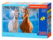 Castorland ����-midi ������ ����� 260 ��������� 7378/B2-27378 � 8 ���