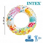 Intex   Baby float 8179   56573NP  1 