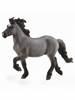Collecta ������� ������ ������� ���������� ����-������� XL 88826b � 3 ���