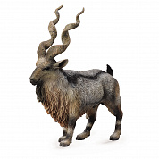 Collecta ������� ���������� ����� 88641b � 3 ���