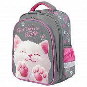 Brauberg ����� �������� Kids Standard 2 ��������� Purr cat 274427