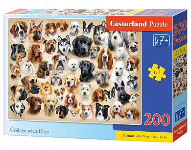 Castorland ���� ������ ����� ������ 200 ��������� 2162/B10-222162 � 7 ���