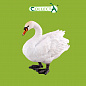 Collecta ������� ������ � 88211 � 3 ���