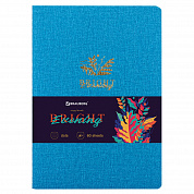 Brauberg ������� �5 Bright 60 �. � ����� ������� ������ ��� �������, ������� 403849