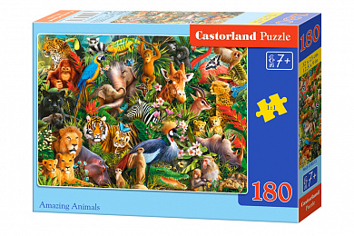 Castorland ���� ������������ �������� 180 ��������� 8512/B1-018512 � 7 ���