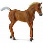 Collecta ������� ��������� ������������� ������ �������� 88451b � 3 ���