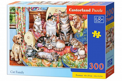 Castorland ���� ������� ��������� 300 ��������� 0439/B7-030439 � 8 ���