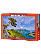 Castorland ����� ����� ���, ��������� 1000 ������� C-105311 � 10 ���