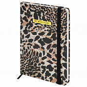 Brauberg ���������� �������������� � �������� �5 ������� ������ 128 � Leopard 116291