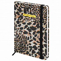 Brauberg ���������� �������������� � �������� �5 ������� ������ 128 � Leopard 116291