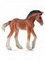 Collecta ������� ������ ��������� ��������������� ������ ������ M 88625b � 3 ���