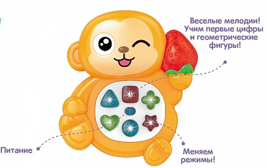 Zhorya ��������� ���� ��������� (����, ����) ZYA-A2904-3 � 6 �������