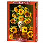 Castorland ���� ���������� � ���� 1000 ��������� 3843/C-103843 � 12 ���