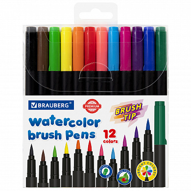 Brauberg ���������� � ������������-������ 12 ������ Premium 152195