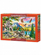 Castorland ����� ��������� ������ � ����� 1000 ������� 4970/C-104970 � 10 ���