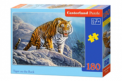Castorland ���� ���� �� ����� 180 ��������� 8451/�1-018451 � 7 ���